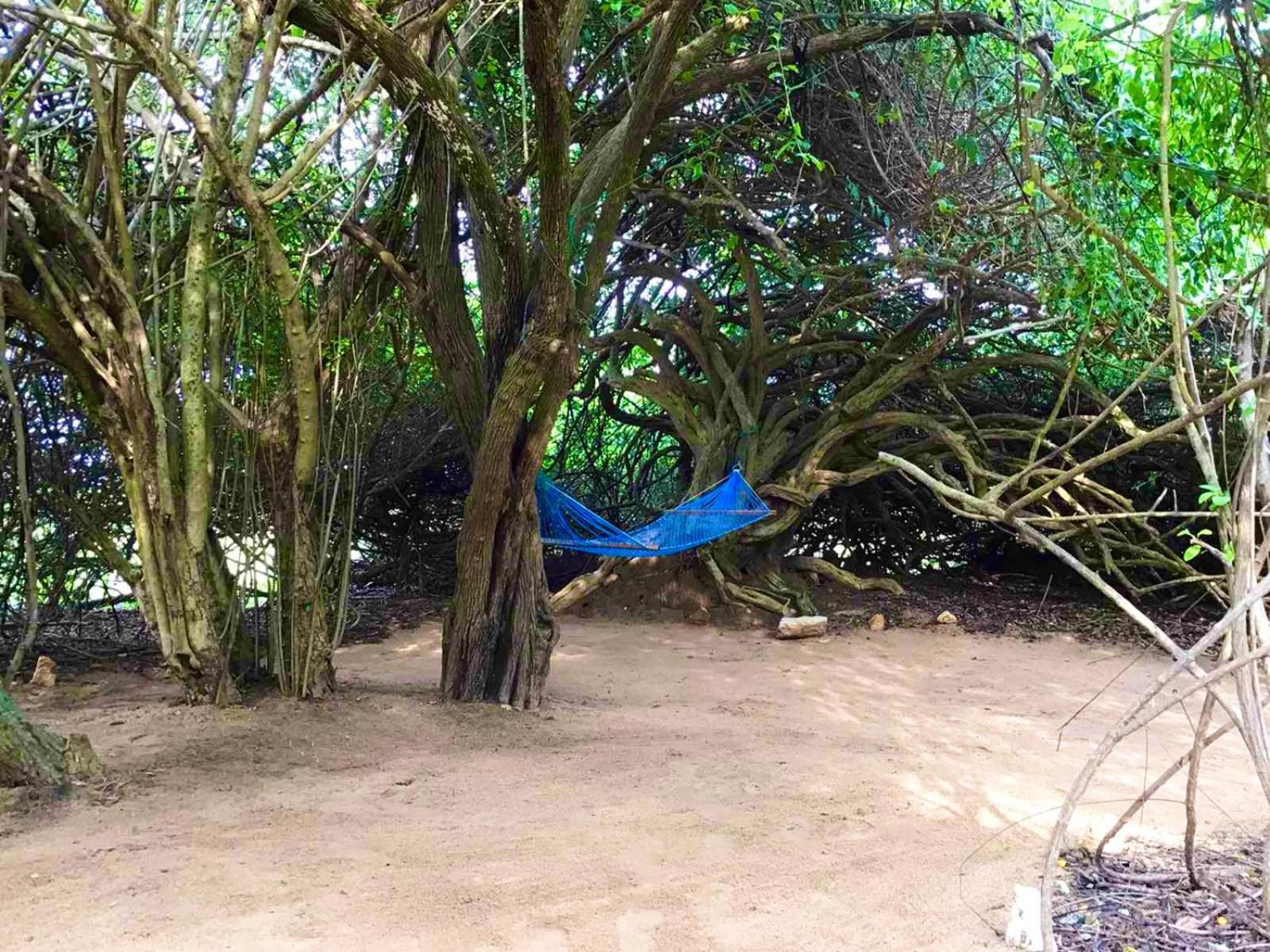 Yala Podi Hoona Bush Camp Ξενοδοχείο Εξωτερικό φωτογραφία